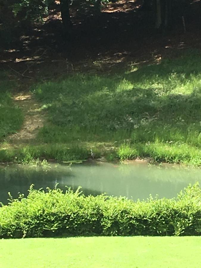 B&B Les Oiseaux De Passage Harre Dış mekan fotoğraf